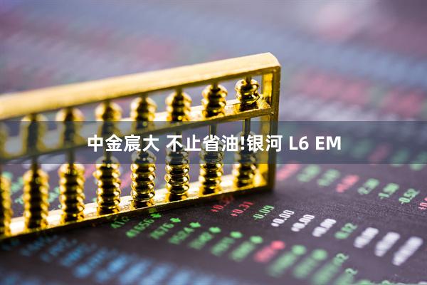中金宸大 不止省油!银河 L6 EM