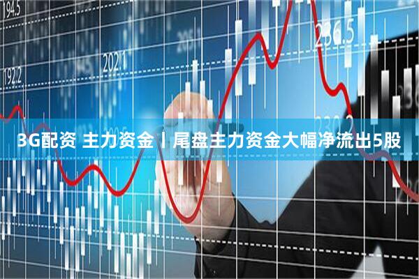 3G配资 主力资金丨尾盘主力资金大幅净流出5股
